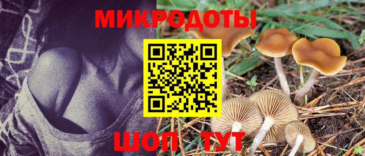 Псилоцибиновые грибы Cubensis  Вход с VPN  Артём 